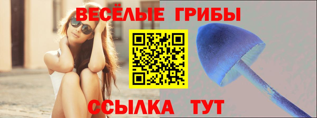 где найти наркотики  Вход с VPN  Усть-Илимск  Галлюциногенные грибы ЛСД 